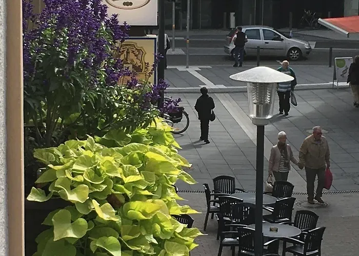 酒店 赫尔曼酒店 3*