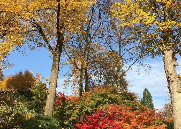 赫尔曼酒店 酒店 3*